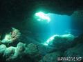 scuba diving photo
