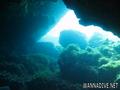 scuba diving photo