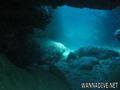 scuba diving photo