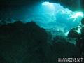 scuba diving photo