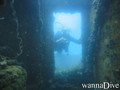 scuba diving photo