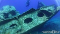 scuba diving photo