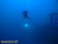 scuba diving photo