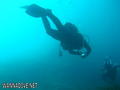 scuba diving photo