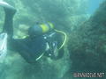 scuba diving photo