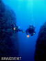 scuba diving photo