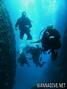 scuba diving photo