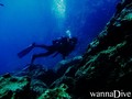 scuba diving photo
