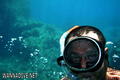 scuba diving photo