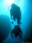 scuba diving photo