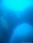scuba diving photo
