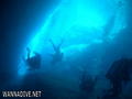 scuba diving photo