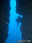 scuba diving photo
