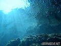 scuba diving photo