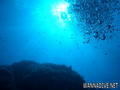 scuba diving photo