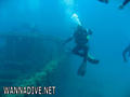 scuba diving photo