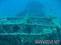 scuba diving photo