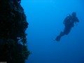 scuba diving photo