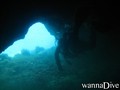 scuba diving photo