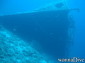 scuba diving photo