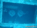 scuba diving photo