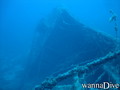 scuba diving photo