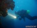 scuba diving photo