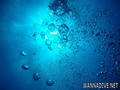 scuba diving photo