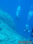 scuba diving photo