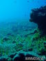 scuba diving photo