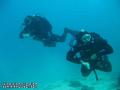 scuba diving photo
