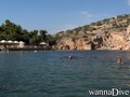 scuba diving photo
