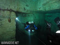 scuba diving photo