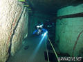 scuba diving photo