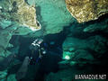 scuba diving photo