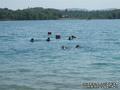 scuba diving photo