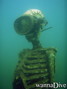 scuba diving photo