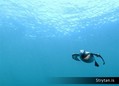 scuba diving photo