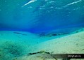 scuba diving photo