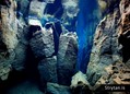 scuba diving photo