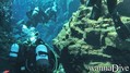 scuba diving photo