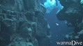 scuba diving photo