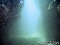 scuba diving photo