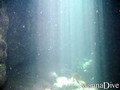 scuba diving photo
