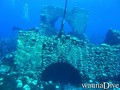 scuba diving photo