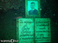 scuba diving photo