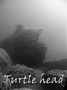 scuba diving photo