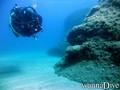 scuba diving photo