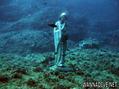 scuba diving photo