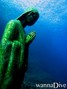 scuba diving photo